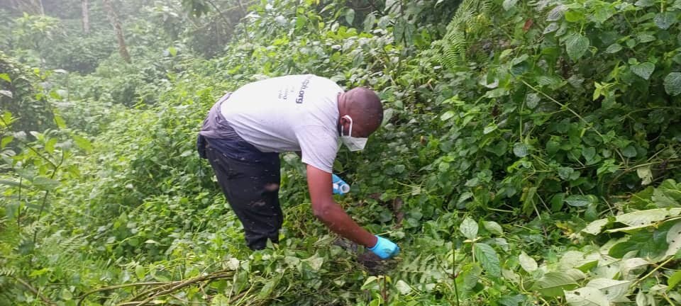 Wildlife Technician collecting fecal samples