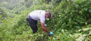Wildlife Technician collecting fecal samples