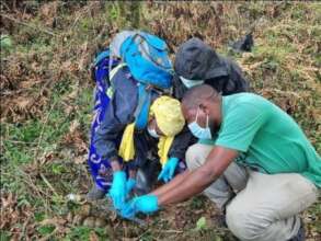 CTPH Wildlife and Lab Technologist Annaclet