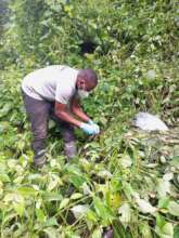 Annaclet collecting samples from Nshongi family