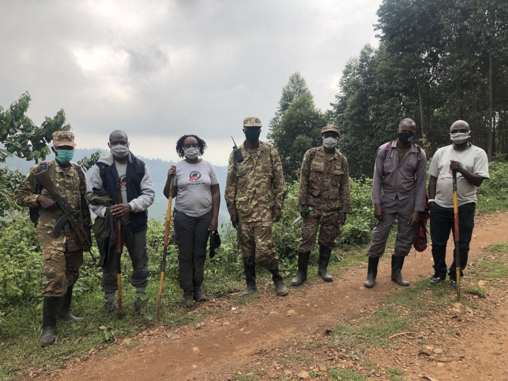 Dr Gladys and CTPH team tracking Nkuringo Gorilla