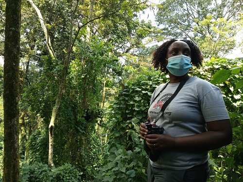 Dr Gladys monitoring Mubare gorilla group