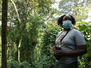 Dr Gladys monitoring Mubare gorilla group