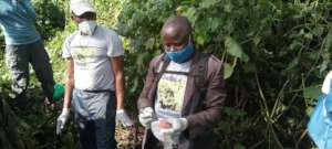 Gorilla Guardians collecting gorilla fecal samples
