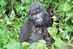 Mukiza baby birth-Photo by UWA