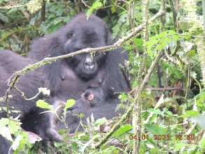 Adult Female Nderema with her baby