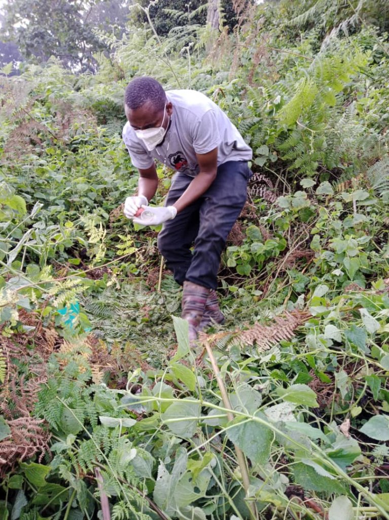 The Gorilla Guardians of Bwindi, Uganda