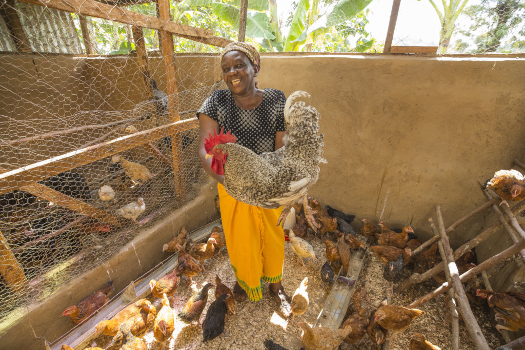Empower 220 women in Kenya with $20 for 2 chicken