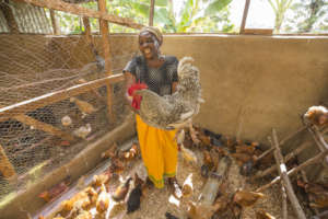 Empower 220 women in Kenya with $20 for 2 chicken
