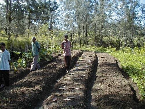 Training for Sustainable Agriculture in Indonesia