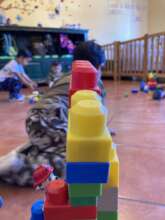 Building blocks for Toddlers