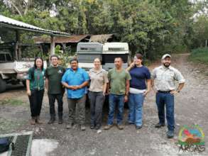 Liberation of spider monkeys A