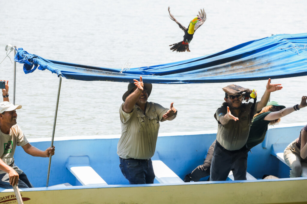 Rescue Endangered Wildlife in Guatemala