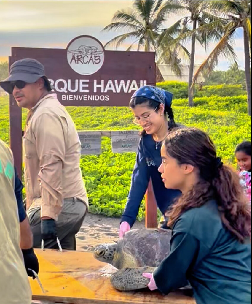 Rescue Endangered Wildlife in Guatemala