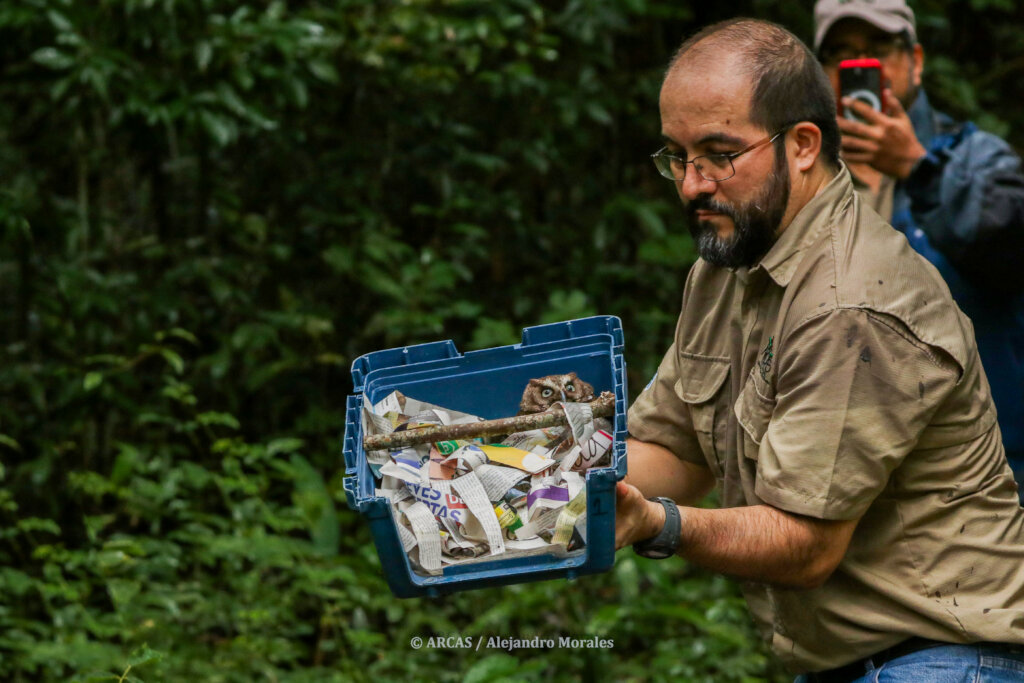 Rescue Endangered Wildlife in Guatemala