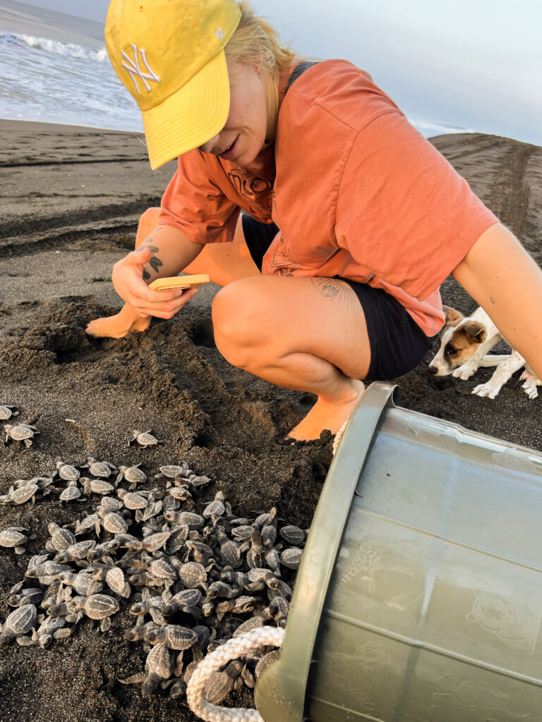 Rescue Endangered Wildlife in Guatemala