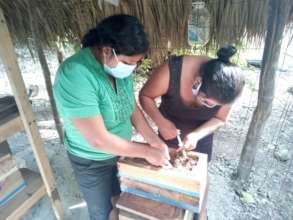 Cosecha de miel