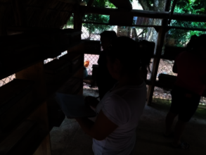 Capacitacion tecnica en meliponario