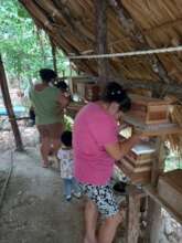 Training. Surveillance and management of hives.