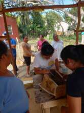 Training. Hive handling