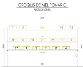 Croquis meliponario