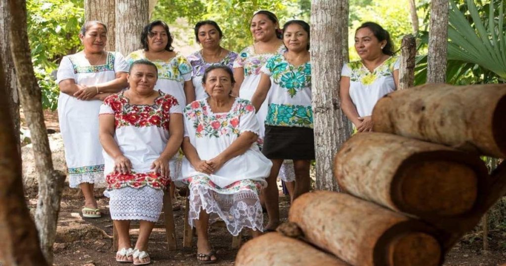 Indigenous women save the sacred Mayan bee