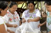 Indigenous women save the sacred Mayan bee