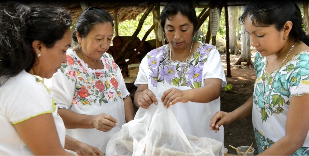 Indigenous women save the sacred Mayan bee