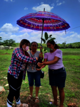 Mujeres en jornada de reforestacion