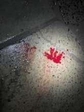 Blood was coming from Snoopy's mouth and nose