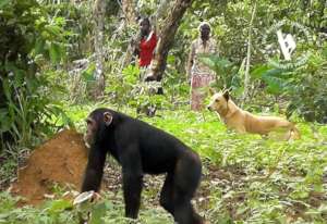 Close neighbors run into conflict
