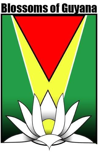 Help 600 Students Living in Guyana Learn to Read