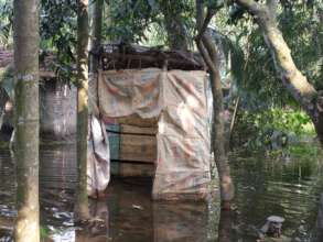 Unhygienic Sanitation