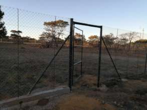 Cheetah camp gate