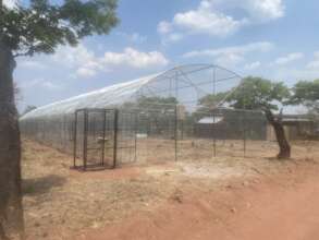 Newly built genet camp