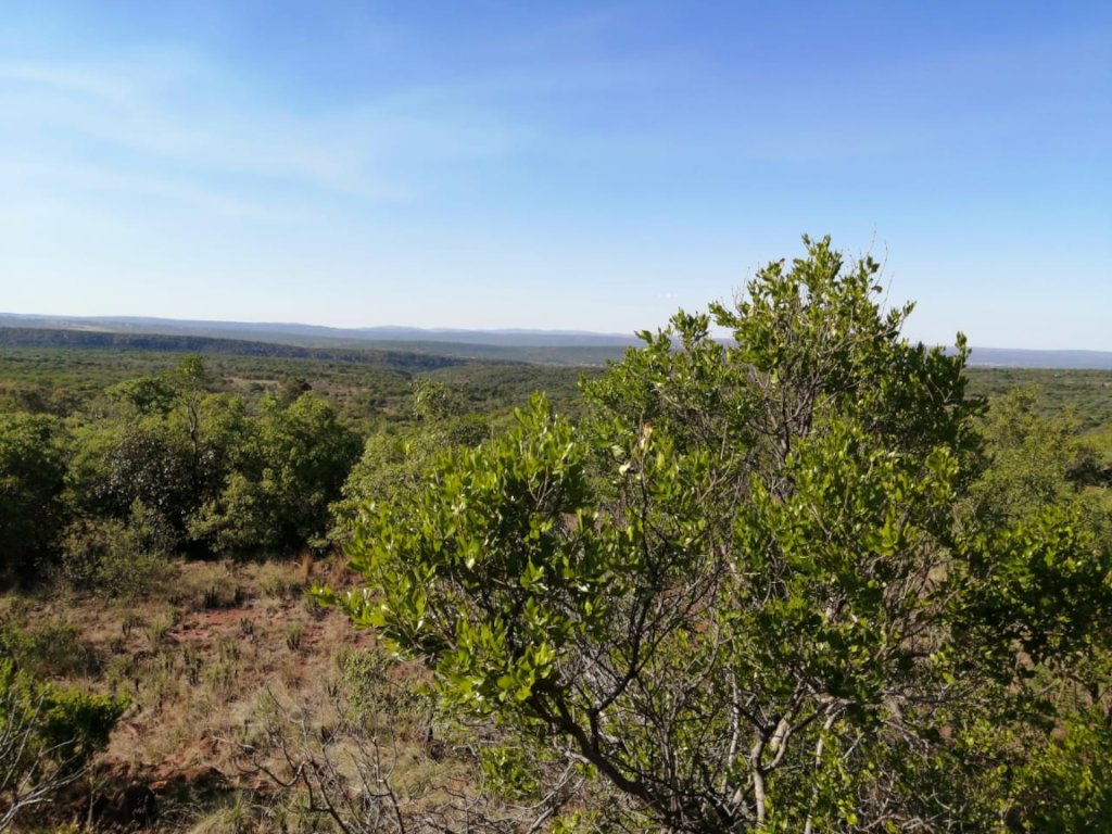 View of new land