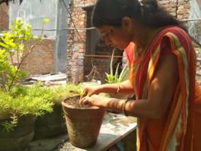 World Environment Day