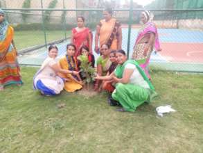Plantation drive