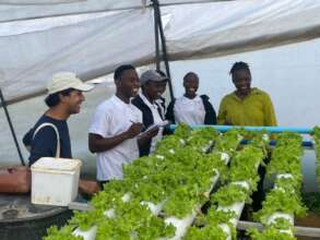 USAPCS students touring a hydroponic farm