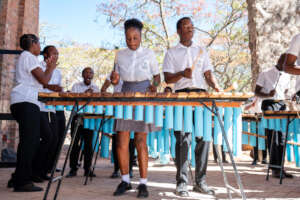 Marimba perfomance