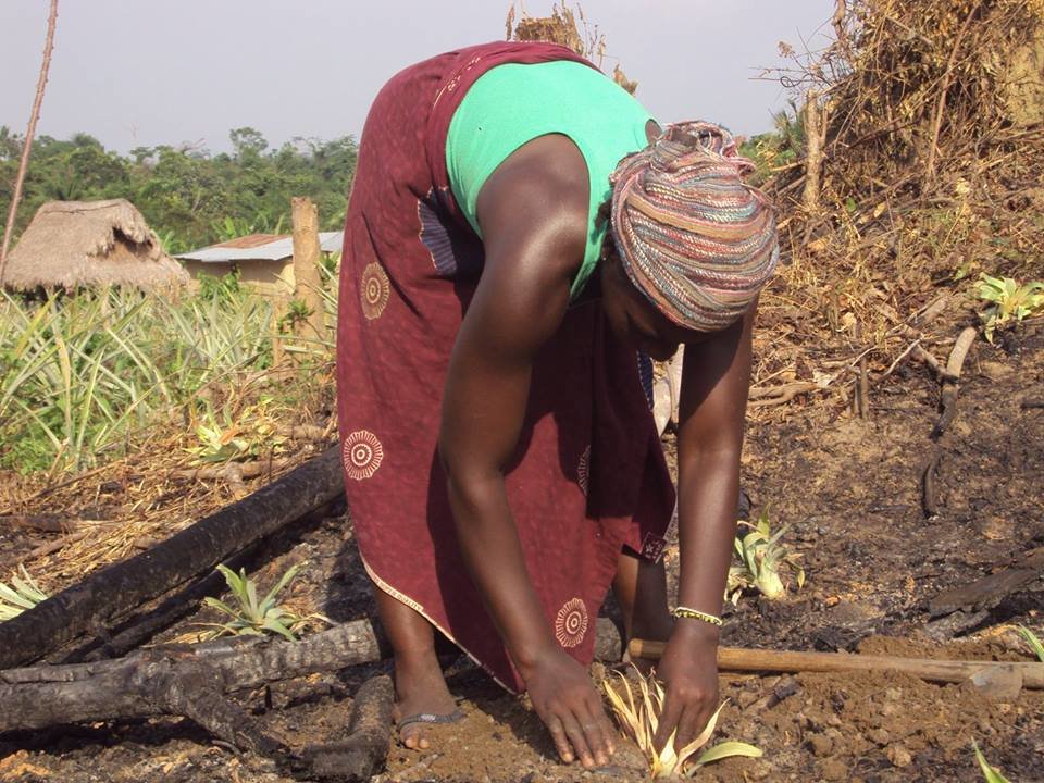 Support Rural Farmers in Liberia