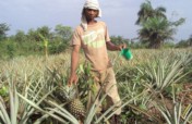 Support Rural Farmers in Liberia