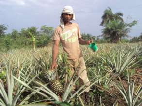 Support Rural Farmers in Liberia