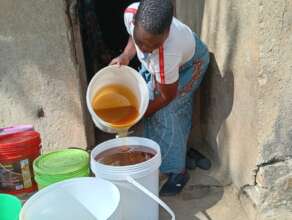 Beekeeping in Zambia