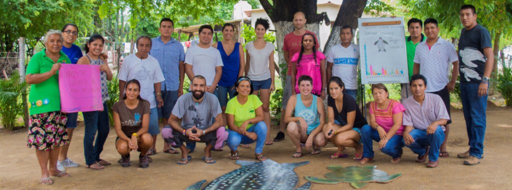 The Mexican Sea Turtle Revolution