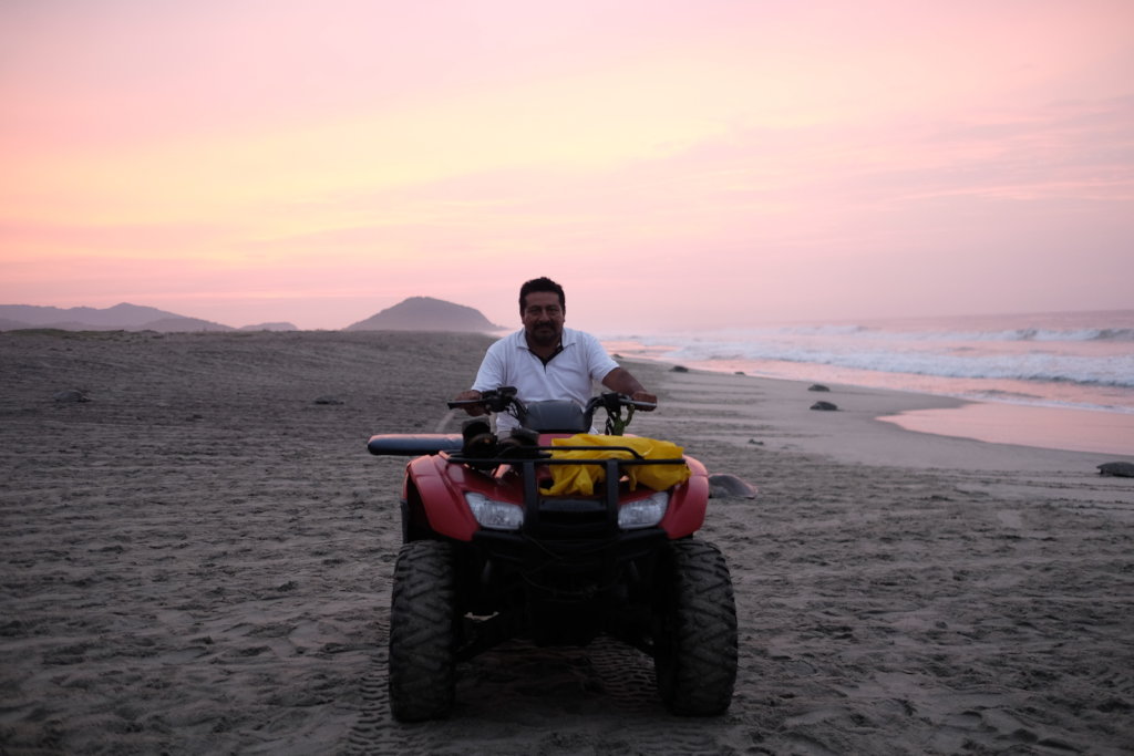 The Mexican Sea Turtle Revolution