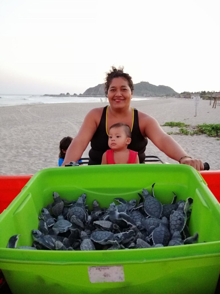 The Mexican Sea Turtle Revolution