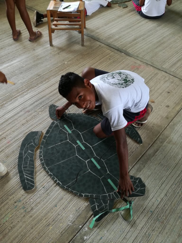 The Mexican Sea Turtle Revolution