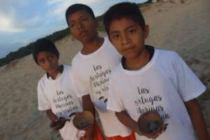The Mexican Sea Turtle Revolution