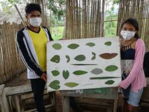 School activities in 2020